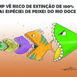 Edra
