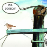 Alisson Affonso